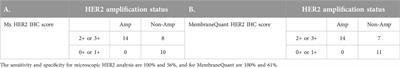 Semi-automated analysis of HER2 immunohistochemistry in invasive breast carcinoma using whole slide images: utility for interpretation in clinical practice